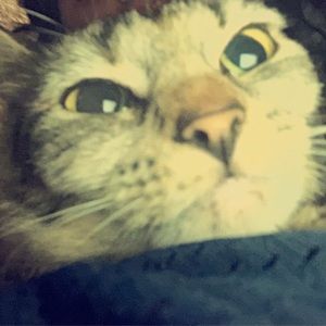 Meet your Posher, Izzy